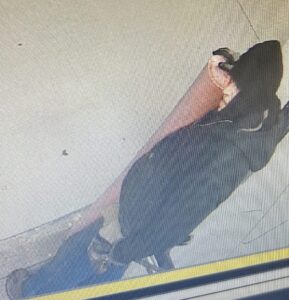 Peotone Police Seek Help Identifying Burglary Suspect