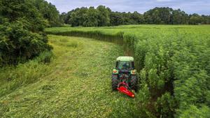 U.S. farm bill drops, outlines 5-year funding