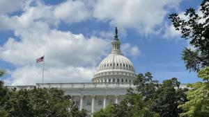 Illinois candidates win party nominations for U.S. House
