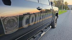Constables hope to find missing children in immigration search effort