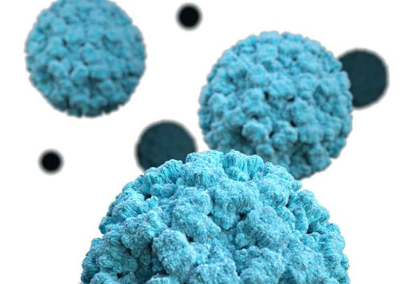 norovirus